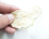 干し野菜（大根）★電子レンジと食品乾燥機作り方10写真