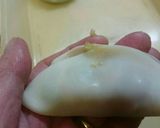 我が家の餃子だよ作り方7写真