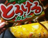 ちょい足しでお店の濃くカレー作り方13写真