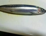 魚臭くない!イワシDEスパイシーフライ♪作り方2写真
