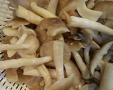 あっさり旨い✳ターサイとしめじの中華炒め作り方4写真