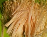 簡単*豚肉と水菜・エノキのレンジ蒸し作り方2写真