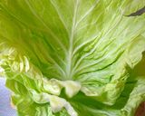 キャベツとさつま揚げの炒め物作り方1写真