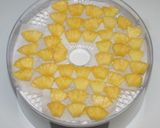 簡単食品乾燥機で手作りフルーツグラノーラ作り方18写真