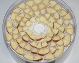 簡単食品乾燥機で手作りフルーツグラノーラ作り方10写真