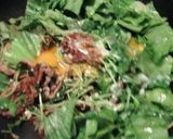 レタスの青い葉と豆苗のソテー作り方4写真