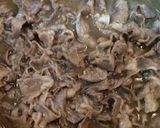 生粋の肉じゃが作り方3写真