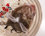 鯛の塩焼きの残りで☆簡単鯛めし作り方2写真