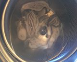 粉もん　だけどカロリーオフのお好み焼き作り方4写真