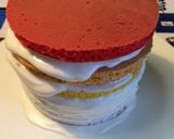 ナッペ苦手でも！レインボーケーキ作り方11写真