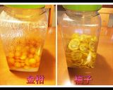 酵素ジュース(金柑、柚子)作り方11写真