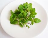 生ミントとライムで本格的　モヒート作り方1写真