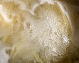 簡単　和風豚肉とレタスえのきのパスタ作り方3写真