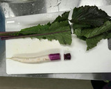 日野菜炒飯～日野の伝統料理を継承する会風作り方2写真