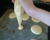 基本のモンブラン (ビスキュイ生地で）作り方3写真