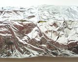 オーブントースターで　鮭のホイル焼き作り方3写真