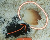 うまうま(o´艸`)おから菜めしふりかけ作り方7写真
