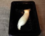 エリンギ1本で♡ごはん作り方1写真