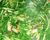水菜とベーコンの炒めもの作り方3写真