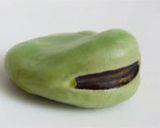 包丁を使わずにそら豆をむく方法作り方4写真