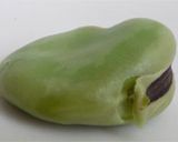 包丁を使わずにそら豆をむく方法作り方5写真