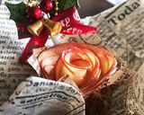 【北海道りんごの薔薇ミニタルト】AQW作り方25写真