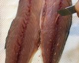 塩を振りかけ酢で締めるだけ！超簡単しめ鯖作り方1写真