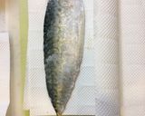 塩を振りかけ酢で締めるだけ！超簡単しめ鯖作り方5写真