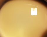 抹茶・緑茶・黒蜜わらび餅作り方1写真