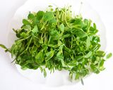 豆苗のナムル作り方1写真