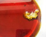 えのきと春菊のさっぱり和え物♪作り方4写真