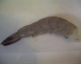 ベトナム風　エビのタマリンドソース炒め作り方2写真