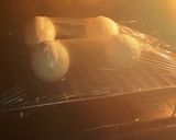 スチームオーブンで簡単温泉卵♪作り方4写真
