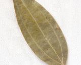 野菜ジュースで✿ひよこ豆のカレースープ作り方11写真