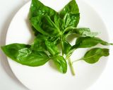 ガパオライス　本格タイ風挽肉とバジルご飯作り方3写真