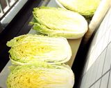 柚子と昆布で簡単白菜漬け作り方1写真