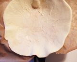 チキンとネギのレモンクリームグラタンパイ作り方7写真