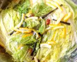柚子と昆布で簡単白菜漬け作り方6写真