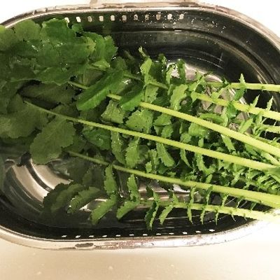 大根の葉 かい様 捨てないで！大根の葉っぱでお漬けもの！ by レストランY