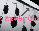 寒～い冬を楽しむ♪簡単干し柿の作り方！作り方12写真