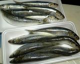 イワシのお好み焼き作り方1写真