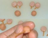 キャラ弁♪ウインナーキャラと焼きもろこし作り方5写真
