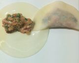 簡単餃子の包み方 バラ餃子(薔薇餃子)　作り方3写真