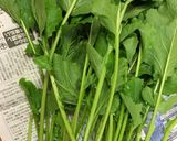 かぶの葉と茎の冷凍保存作り方1写真