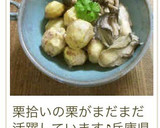 栗の季節に❣️ほっくり栗と鶏の洋風煮込み作り方11写真