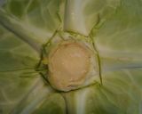 優しい味のロールキャベツ作り方1写真