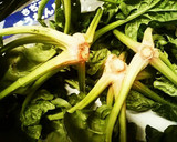 ちぢみほうれん草とえのきと人参のごま和え作り方1写真