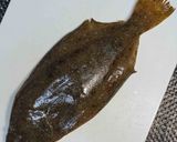 ひらめのムニエル作り方1写真