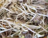 肉野菜炒め作り方8写真