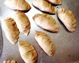 全粒粉の餃子の皮☆なまり節と梅の揚げ餃子作り方9写真